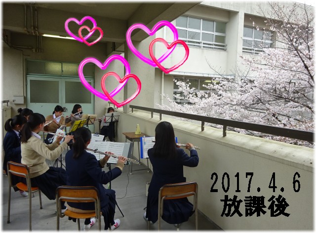 吹奏楽と中庭桜