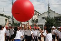 小学生と大玉おくり