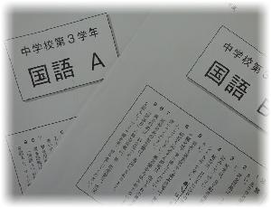 全国学テ２