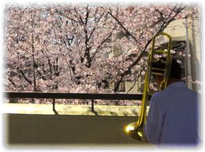 中庭桜と吹奏楽部