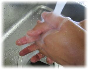 手洗い　指の間　