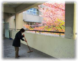 花びらをお掃除　用務員さん