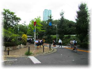 青い陸橋北側　横断歩道 