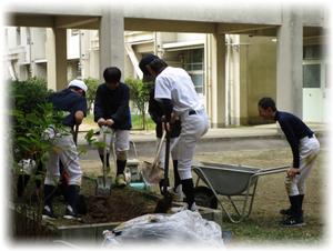 野球部支援