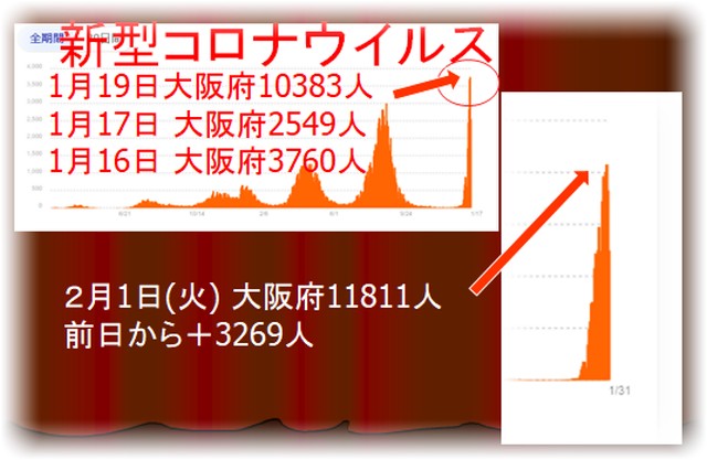 新型コロナウイルス感染状況