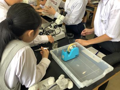班活動