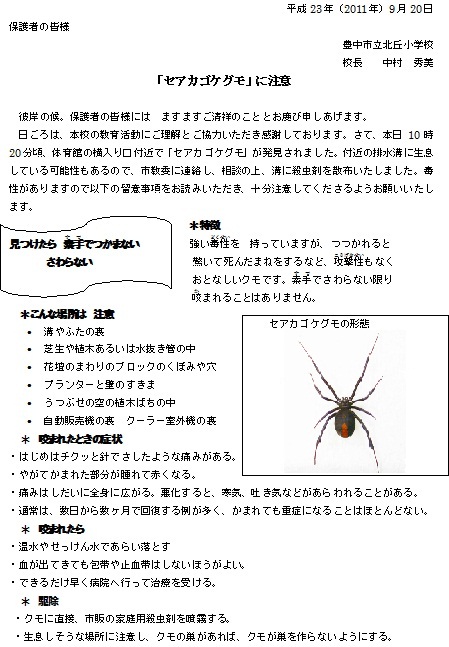 ｾｱｶｺﾞｹｸﾞﾓ