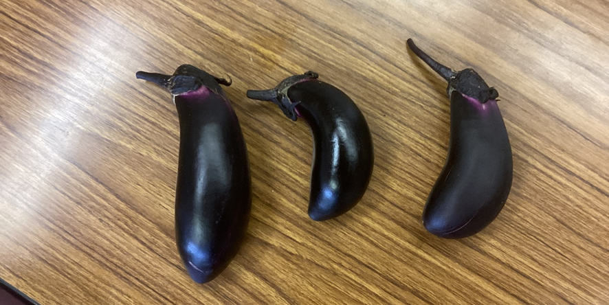 3本の大きいなす
