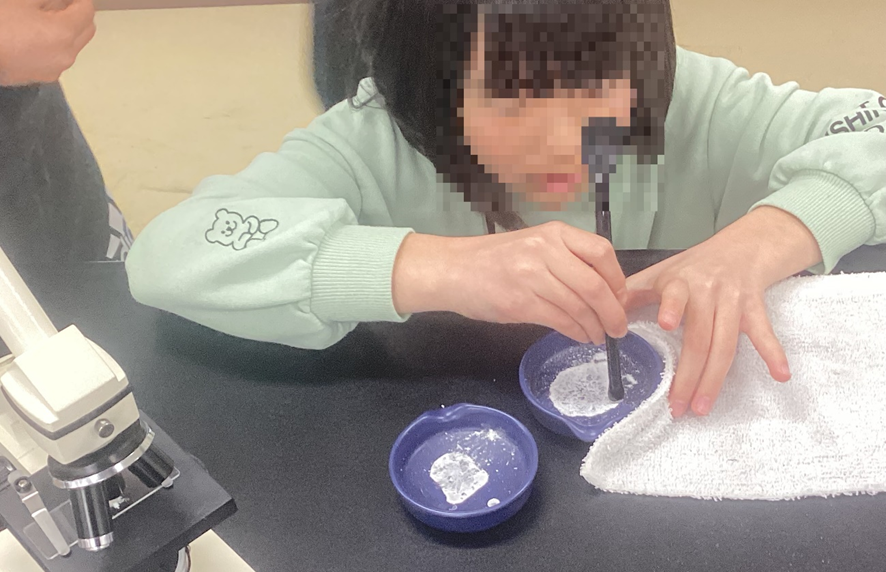 蒸発皿から食塩を取り出すようす