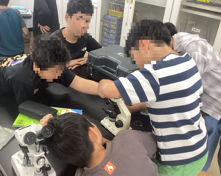 観察のようす