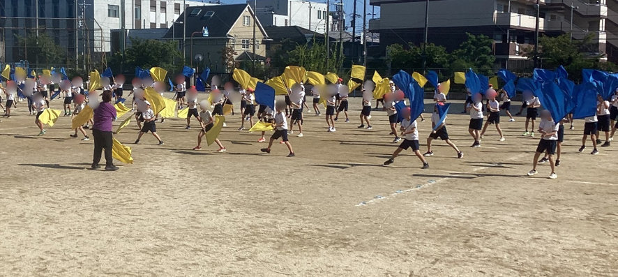 6年生
