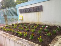花壇のお花