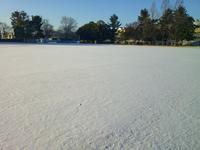 運動場に積もった雪