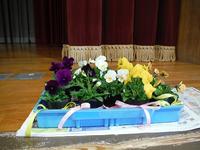 花いっぱいプロジェクト なかてしま 出荷式をしました 中豊島小学校