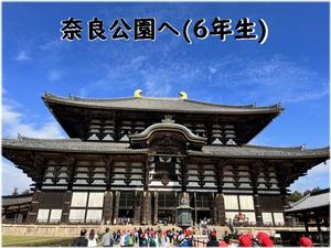６年生奈良公園へ