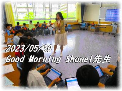 Good Morning Shanel先生
