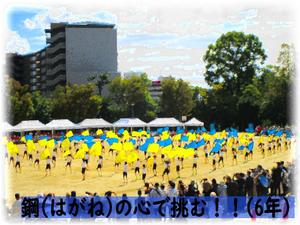 6年
