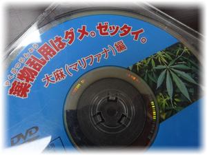 ダメゼッタイDVD