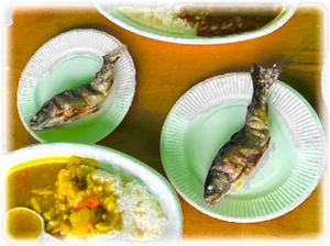 晩御飯