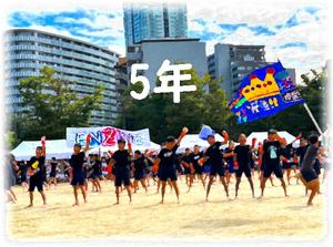 5年