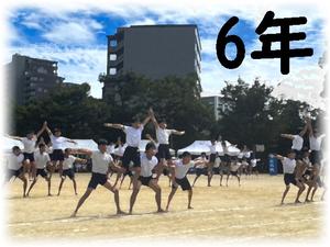 6年