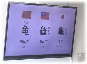 亀