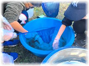 生き物見っけ