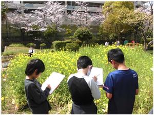 ４年理科「春のスケッチ」