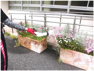 花の水やり