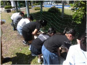 ４年：ひょうたん だんご虫が～