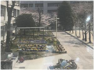 旧校舎・学級園