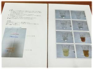 ５年：研究「水溶液の種類と性質」
