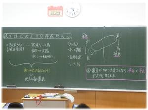 社会