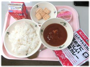 ⑤防災メニュー