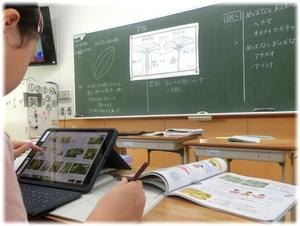 ⑥自分で調べてみよう