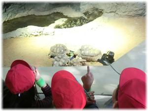 めっちゃ食べてる