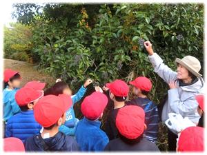 おいしそうだけど？