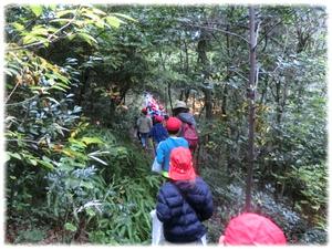 山道を進もう！