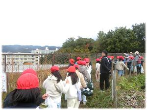 箕面山が見えるね