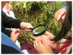 よ～く観察すると