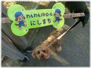 わんわんパトロール