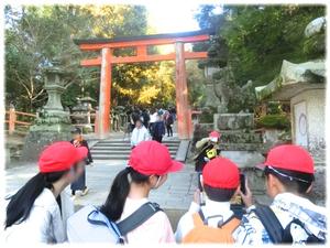 春日大社(鳥居)