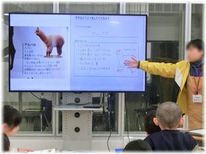 好きな動物を調べよう