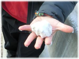 雪玉つくれたよ