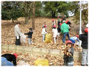 落ち葉がいっぱい！