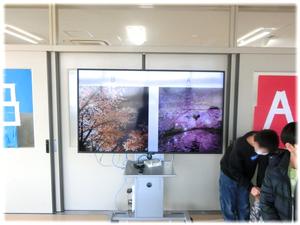 格付けチェック