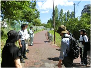 自転車が通る道①