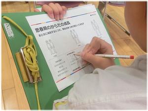 思春期のからだの変化