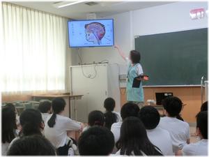 ③保健(二測定)「脳のはたらき」