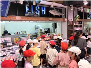 お魚売り場